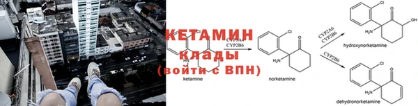 соль ск Абаза