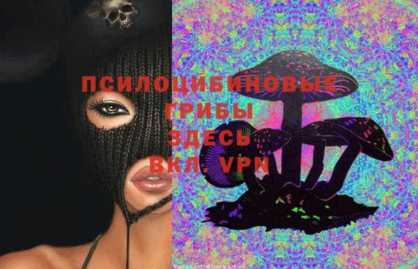 соль ск Абаза
