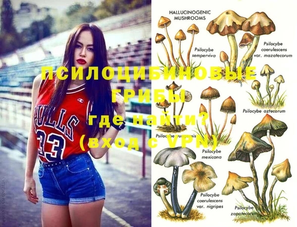 mix Абинск