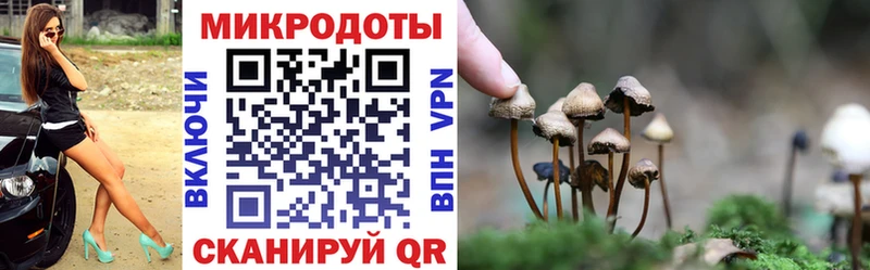 Галлюциногенные грибы Cubensis  мега онион  Электросталь 